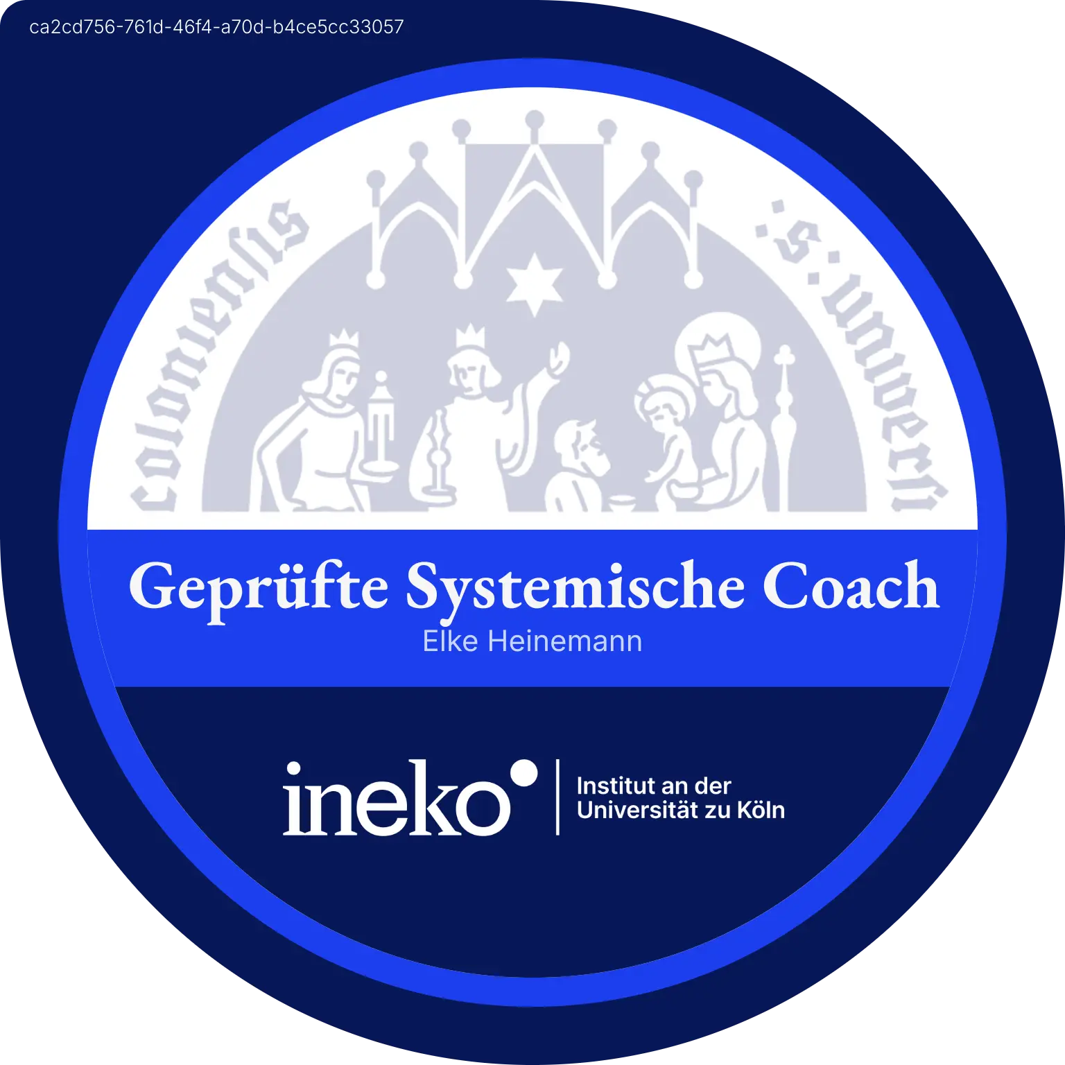 Logo INeKO